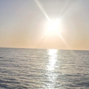 4 Hour Charter